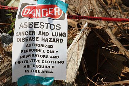 Domestic - Asbestos Trained